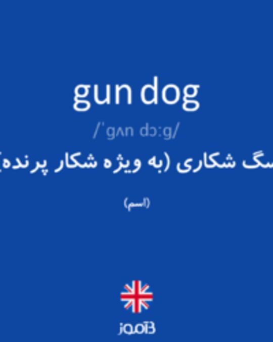  تصویر gun dog - دیکشنری انگلیسی بیاموز