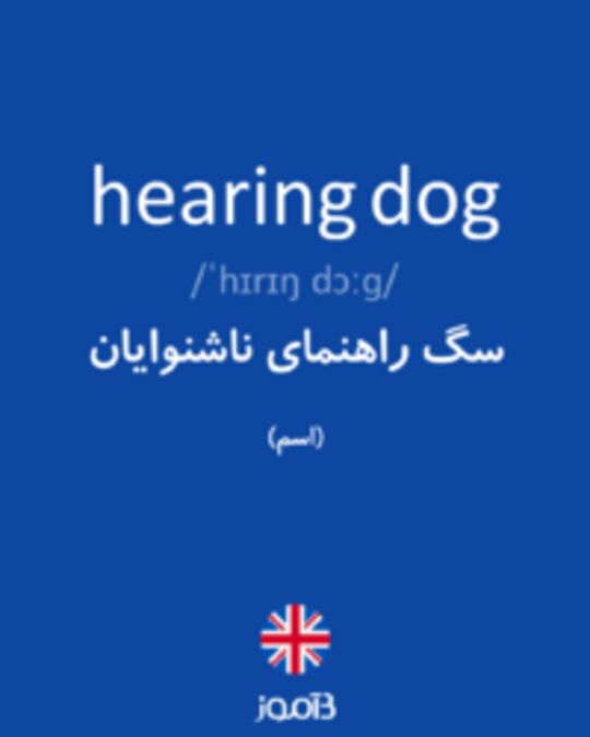  تصویر hearing dog - دیکشنری انگلیسی بیاموز