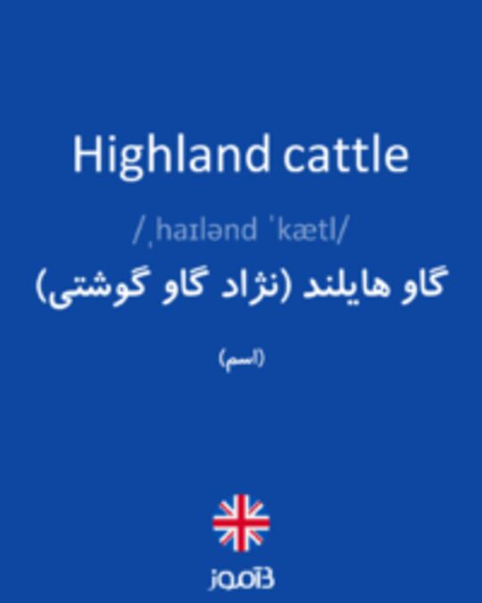  تصویر Highland cattle - دیکشنری انگلیسی بیاموز