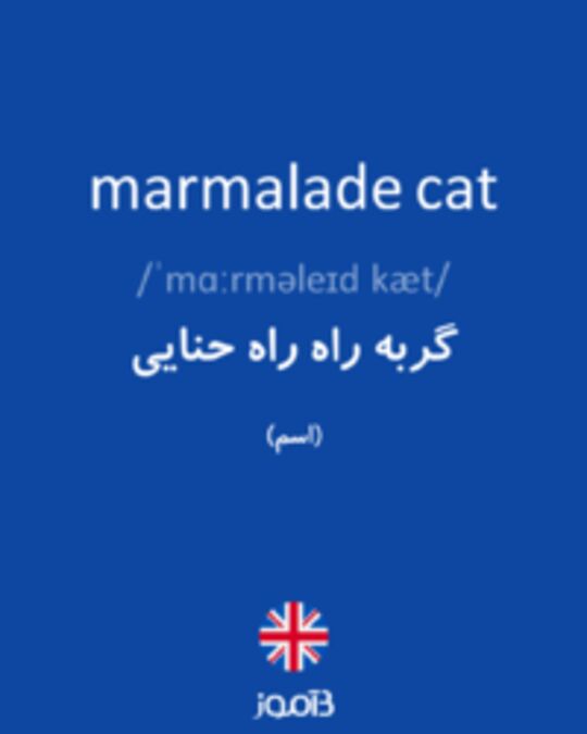  تصویر marmalade cat - دیکشنری انگلیسی بیاموز