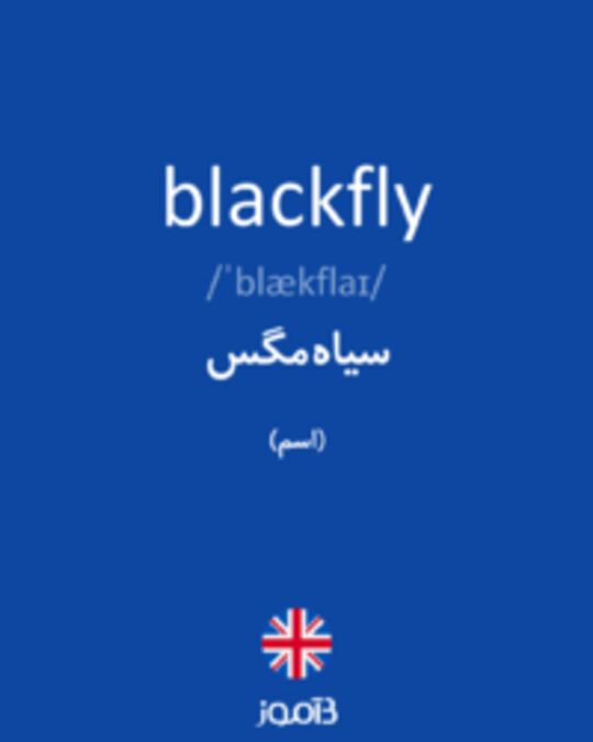  تصویر blackfly - دیکشنری انگلیسی بیاموز