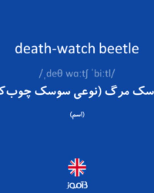  تصویر death-watch beetle - دیکشنری انگلیسی بیاموز