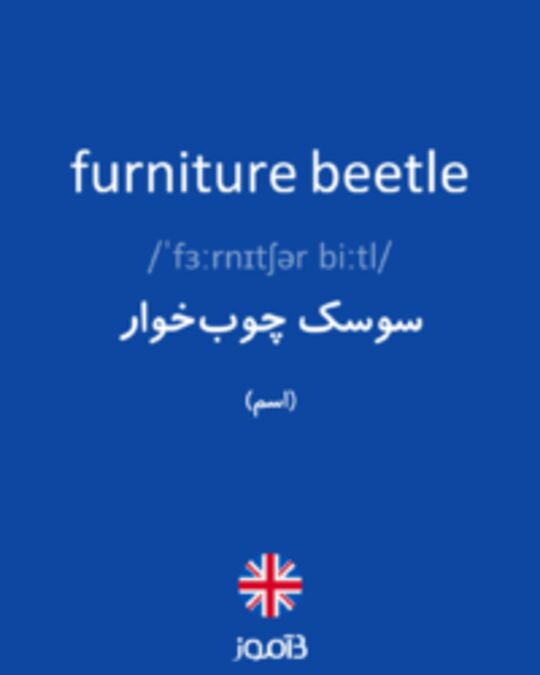 تصویر furniture beetle - دیکشنری انگلیسی بیاموز