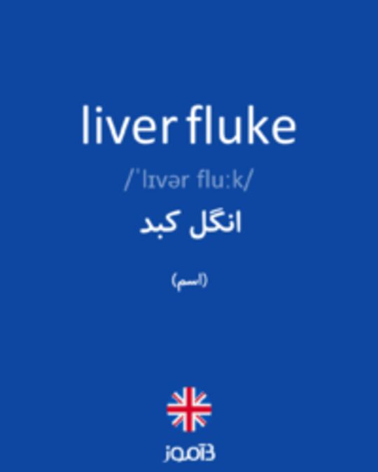  تصویر liver fluke - دیکشنری انگلیسی بیاموز