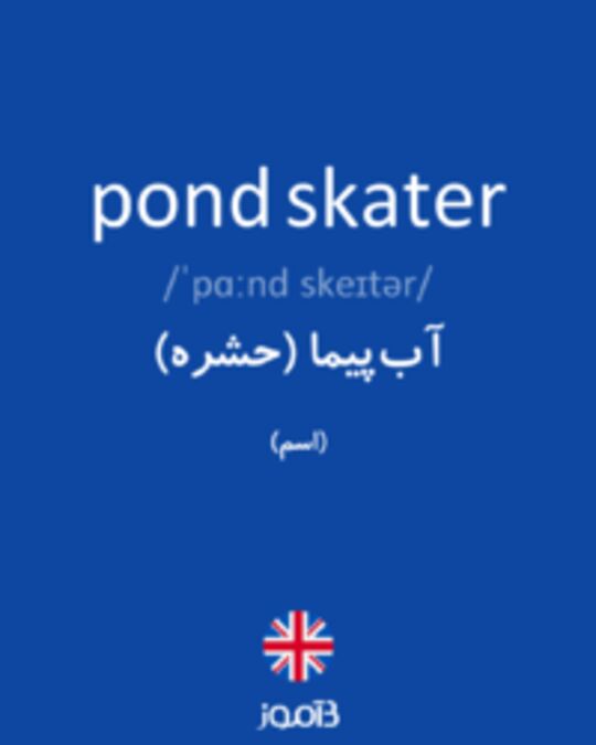  تصویر pond skater - دیکشنری انگلیسی بیاموز