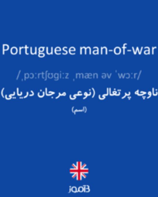 تصویر Portuguese man-of-war - دیکشنری انگلیسی بیاموز