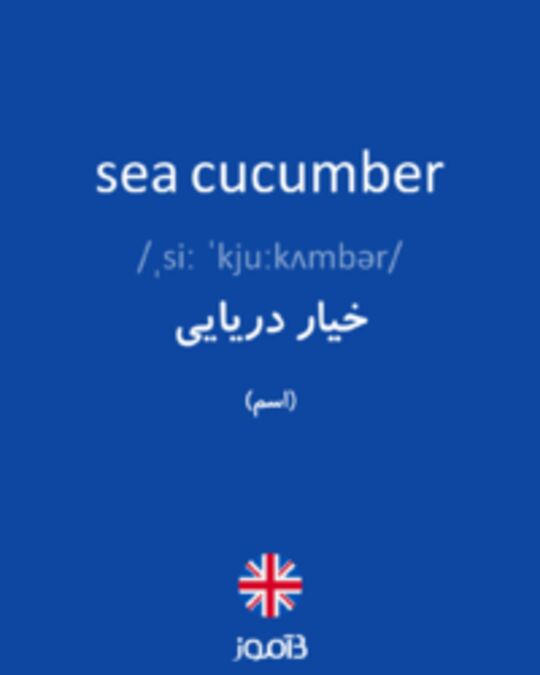  تصویر sea cucumber - دیکشنری انگلیسی بیاموز