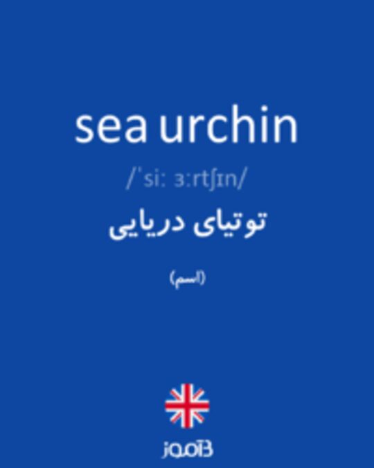  تصویر sea urchin - دیکشنری انگلیسی بیاموز