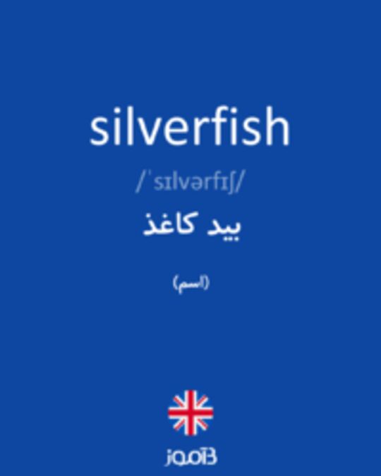  تصویر silverfish - دیکشنری انگلیسی بیاموز
