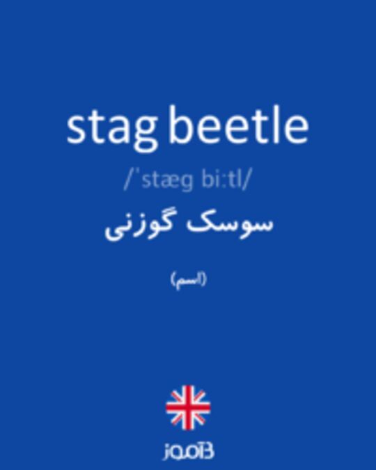  تصویر stag beetle - دیکشنری انگلیسی بیاموز