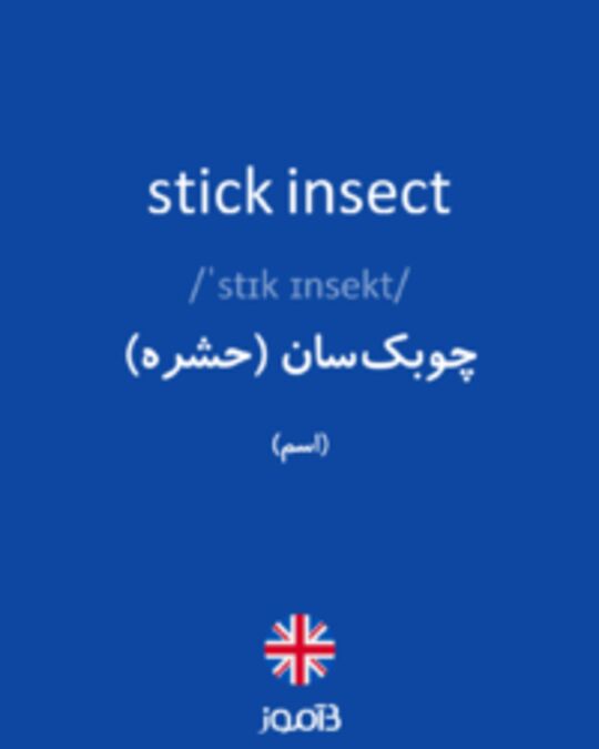  تصویر stick insect - دیکشنری انگلیسی بیاموز