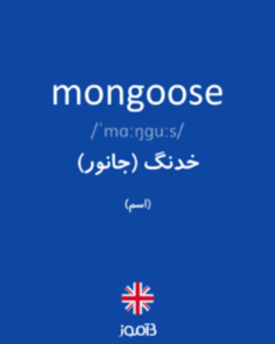  تصویر mongoose - دیکشنری انگلیسی بیاموز