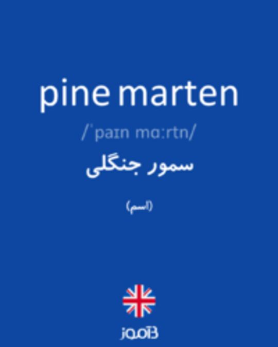  تصویر pine marten - دیکشنری انگلیسی بیاموز