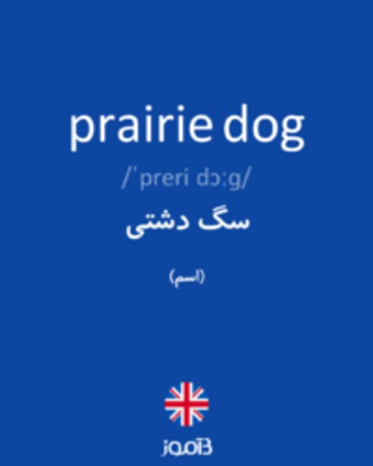  تصویر prairie dog - دیکشنری انگلیسی بیاموز