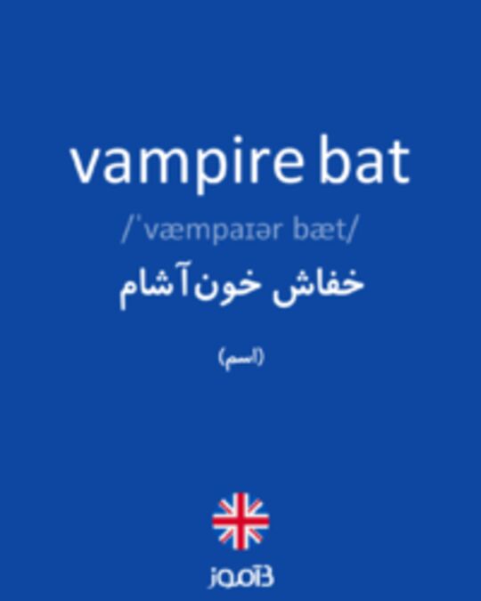  تصویر vampire bat - دیکشنری انگلیسی بیاموز