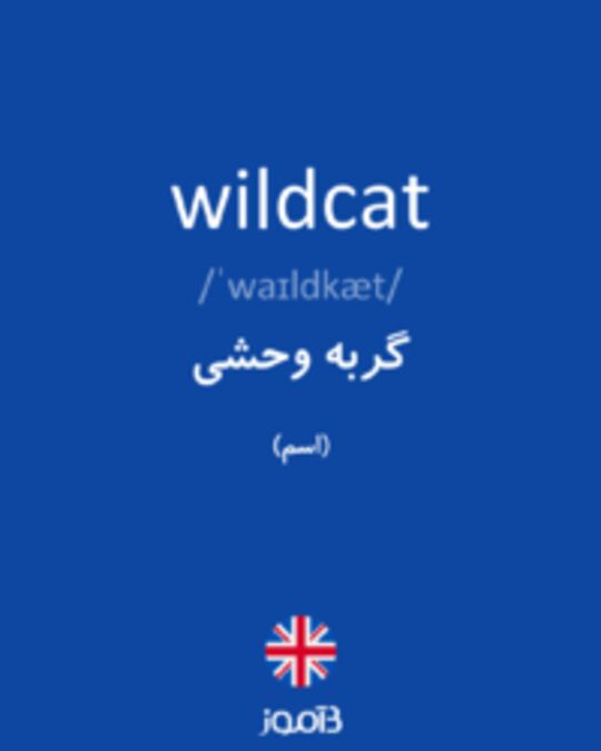  تصویر wildcat - دیکشنری انگلیسی بیاموز