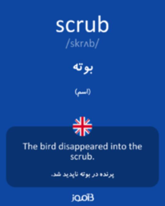  تصویر scrub - دیکشنری انگلیسی بیاموز