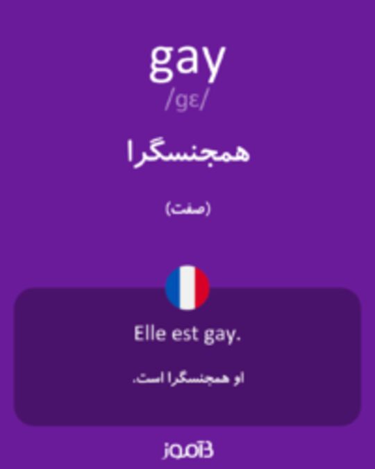  تصویر gay - دیکشنری انگلیسی بیاموز