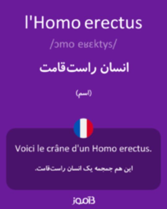  تصویر l'Homo erectus - دیکشنری انگلیسی بیاموز