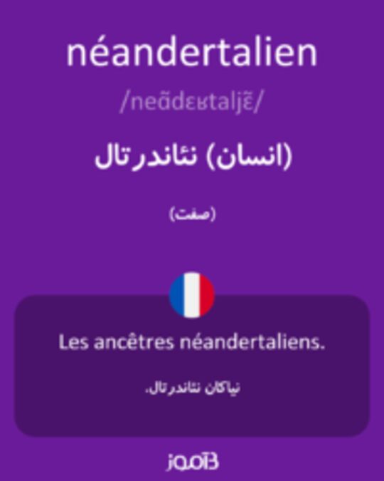  تصویر néandertalien - دیکشنری انگلیسی بیاموز