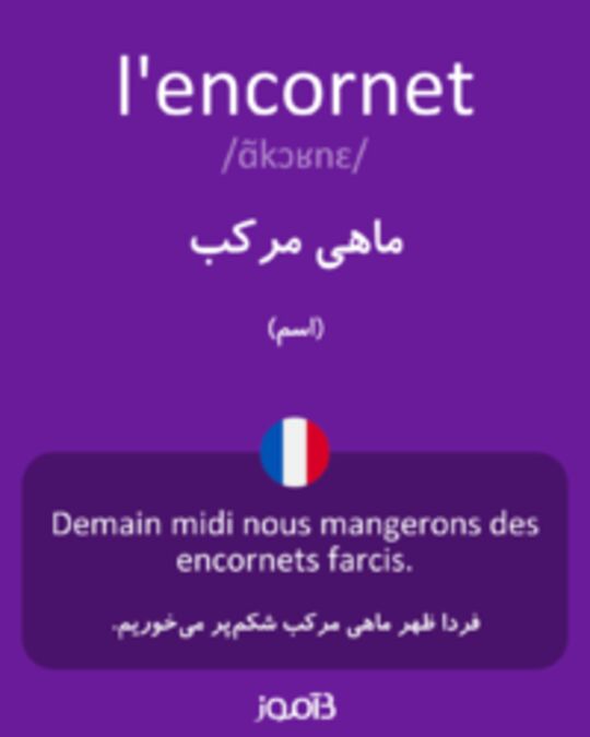  تصویر l'encornet - دیکشنری انگلیسی بیاموز