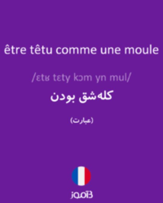  تصویر être têtu comme une moule - دیکشنری انگلیسی بیاموز