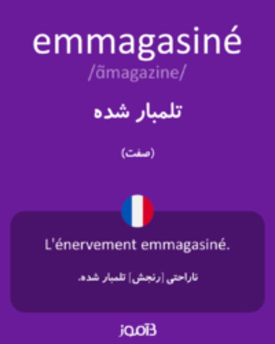  تصویر emmagasiné - دیکشنری انگلیسی بیاموز