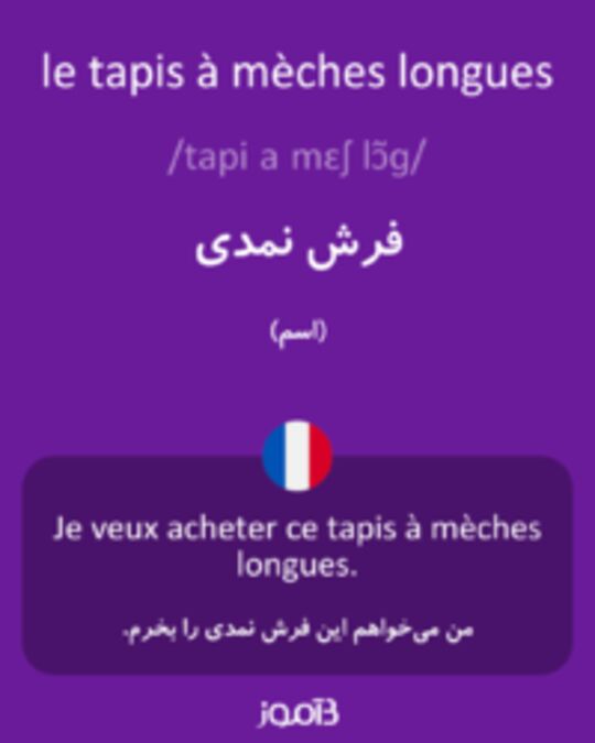  تصویر le tapis à mèches longues - دیکشنری انگلیسی بیاموز