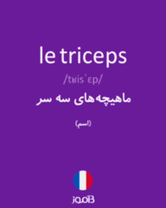  تصویر le triceps - دیکشنری انگلیسی بیاموز