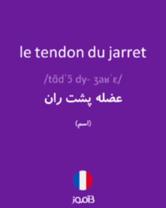 تصویر le tendon du jarret - دیکشنری انگلیسی بیاموز