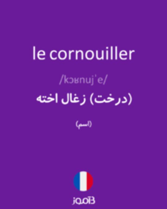  تصویر le cornouiller - دیکشنری انگلیسی بیاموز