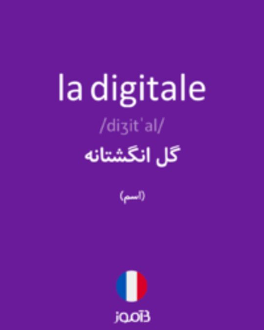  تصویر la digitale - دیکشنری انگلیسی بیاموز