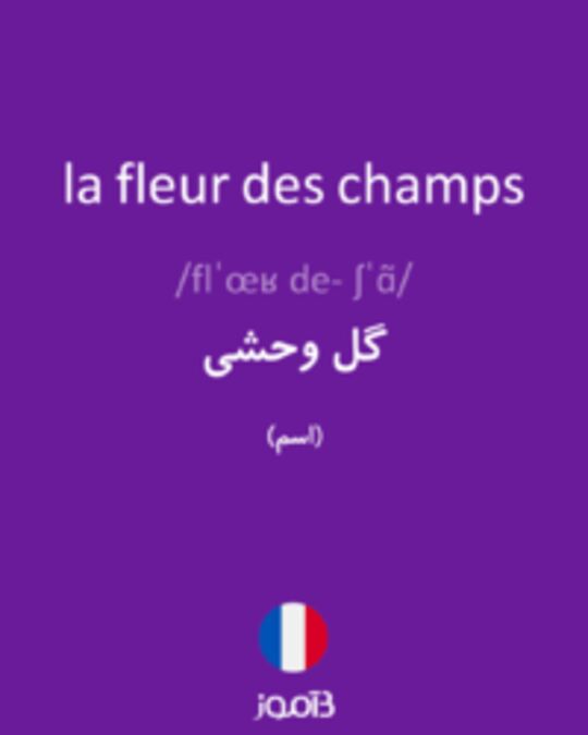  تصویر la fleur des champs - دیکشنری انگلیسی بیاموز