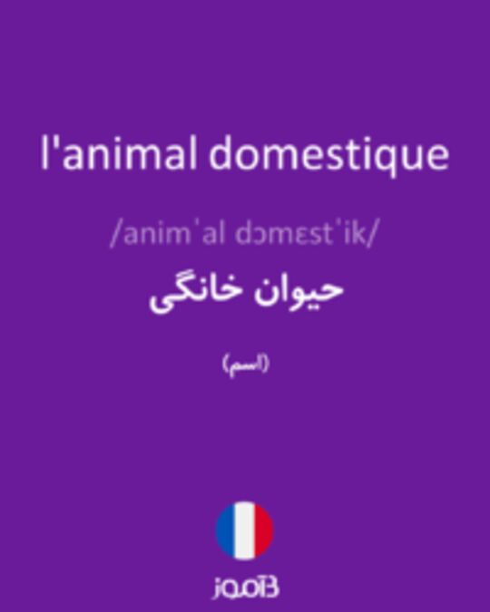 ترجمه کلمه animal domestique به فارسی | دیکشنری فرانسه بیاموز