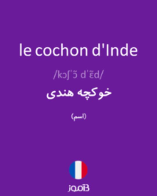  تصویر le cochon d'Inde - دیکشنری انگلیسی بیاموز