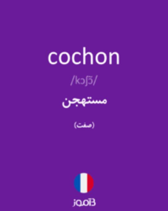  تصویر cochon - دیکشنری انگلیسی بیاموز