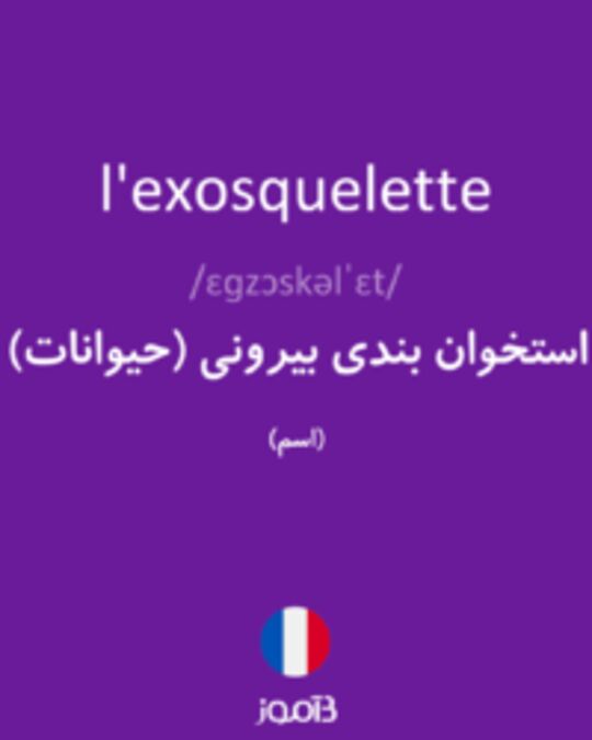  تصویر l'exosquelette - دیکشنری انگلیسی بیاموز