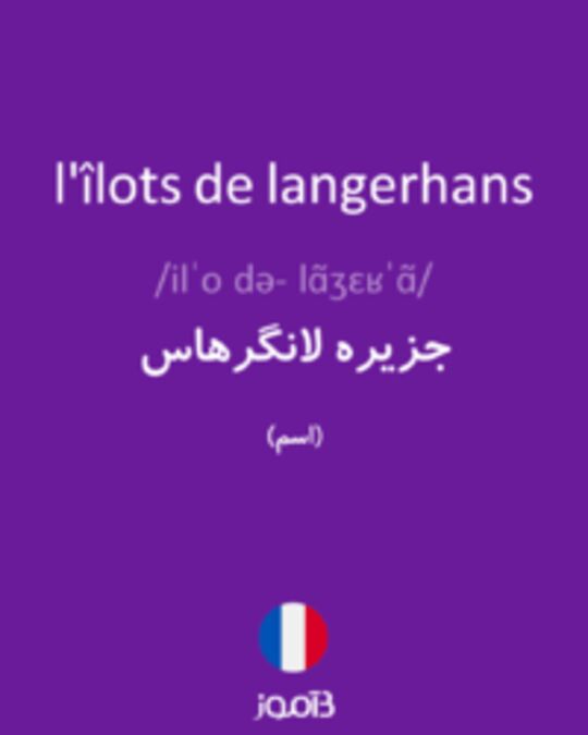  تصویر l'îlots de langerhans - دیکشنری انگلیسی بیاموز