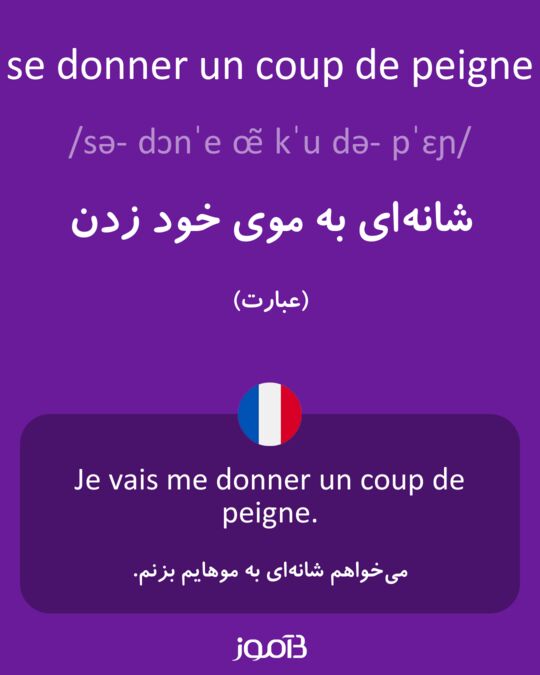 ترجمه کلمه se donner un coup de peigne به فارسی | دیکشنری فرانسه بیاموز