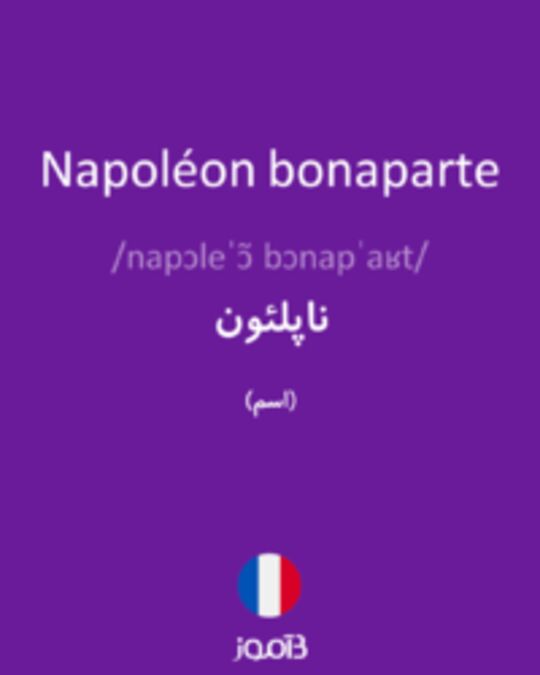  تصویر Napoléon bonaparte - دیکشنری انگلیسی بیاموز