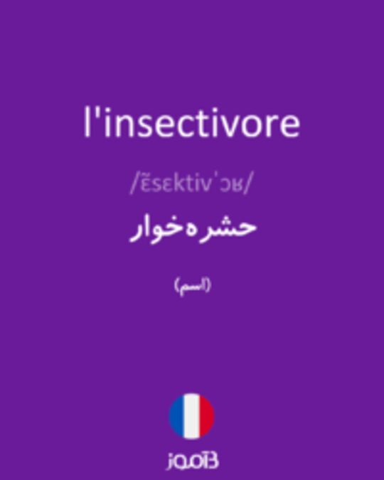  تصویر l'insectivore - دیکشنری انگلیسی بیاموز