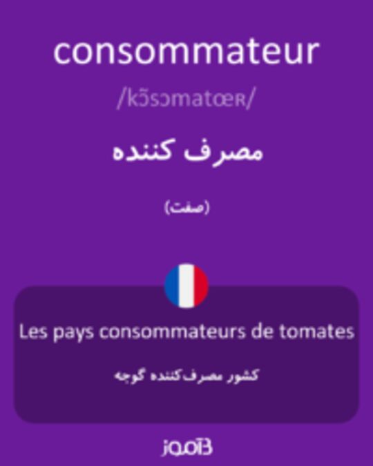  تصویر consommateur - دیکشنری انگلیسی بیاموز