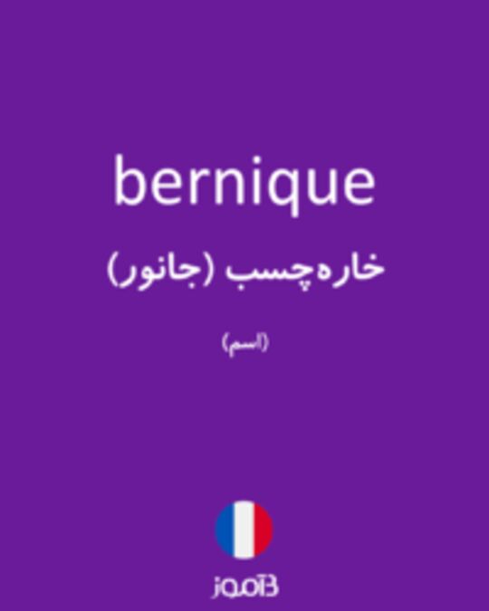  تصویر bernique - دیکشنری انگلیسی بیاموز