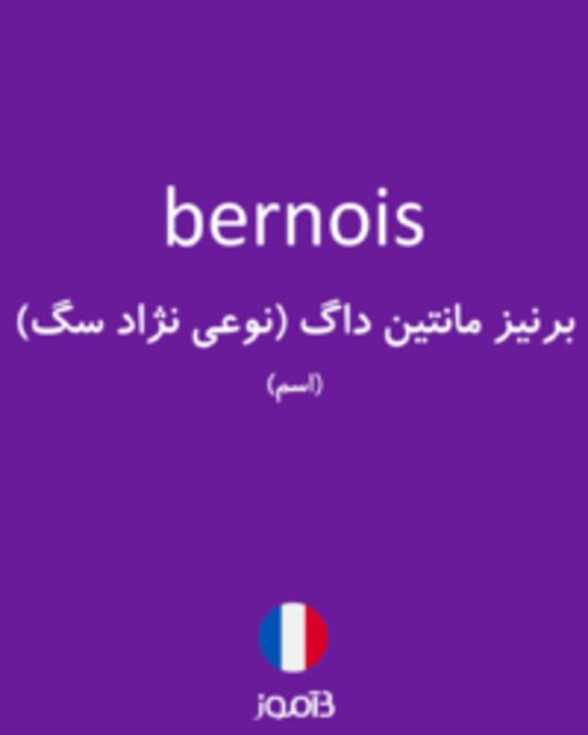  تصویر bernois - دیکشنری انگلیسی بیاموز