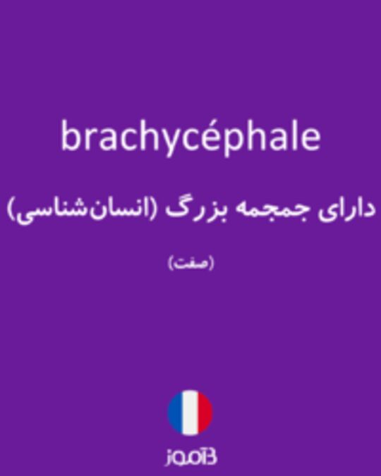  تصویر brachycéphale - دیکشنری انگلیسی بیاموز