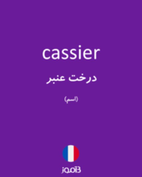  تصویر cassier - دیکشنری انگلیسی بیاموز