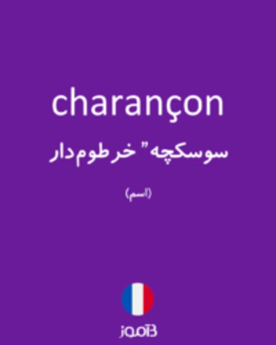  تصویر charançon - دیکشنری انگلیسی بیاموز