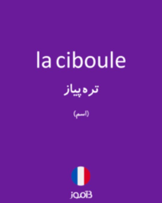  تصویر la ciboule - دیکشنری انگلیسی بیاموز