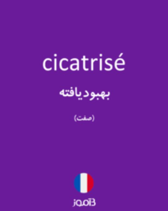  تصویر cicatrisé - دیکشنری انگلیسی بیاموز