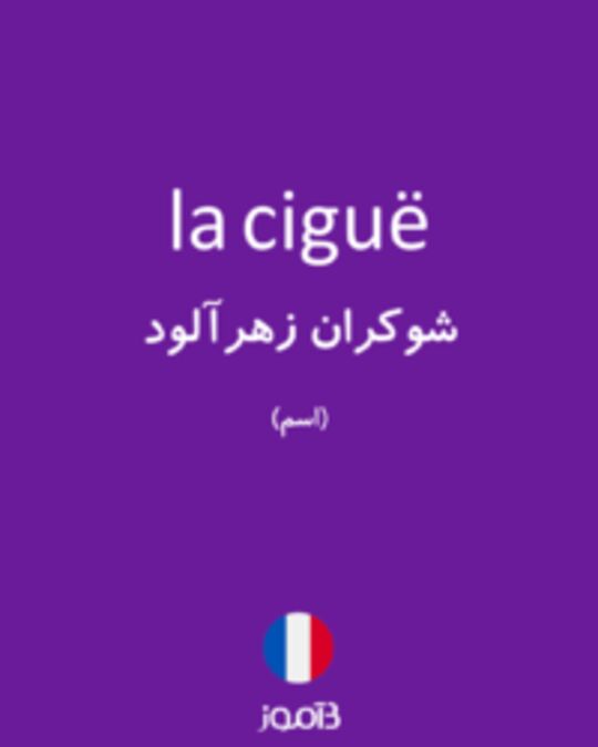  تصویر la ciguë - دیکشنری انگلیسی بیاموز